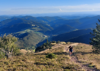 adh-Hochschullauf: Uni Freiburg dominiert Höhenmeter-Wertung – Zweiter Titel für Caroline Pommerening