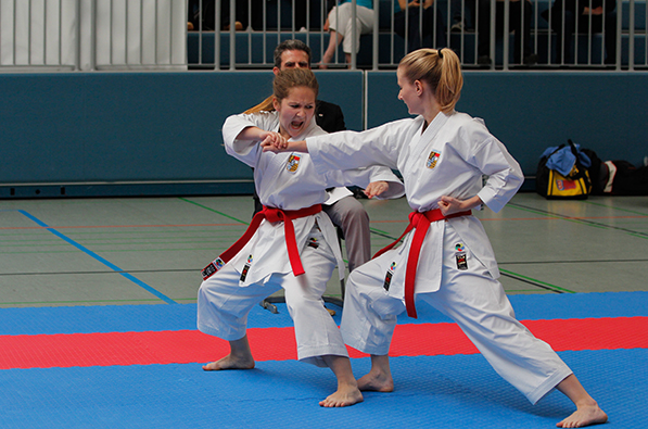 DHM Karate: Im Rückenwind von Olympia « Newsarchiv ...